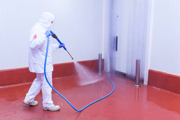 Best Graffiti Removal  in Dexter, NM