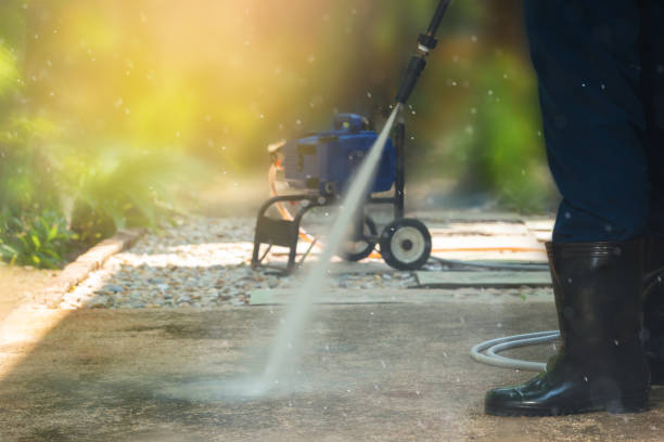Best Sidewalk and Walkway Cleaning  in Dexter, NM
